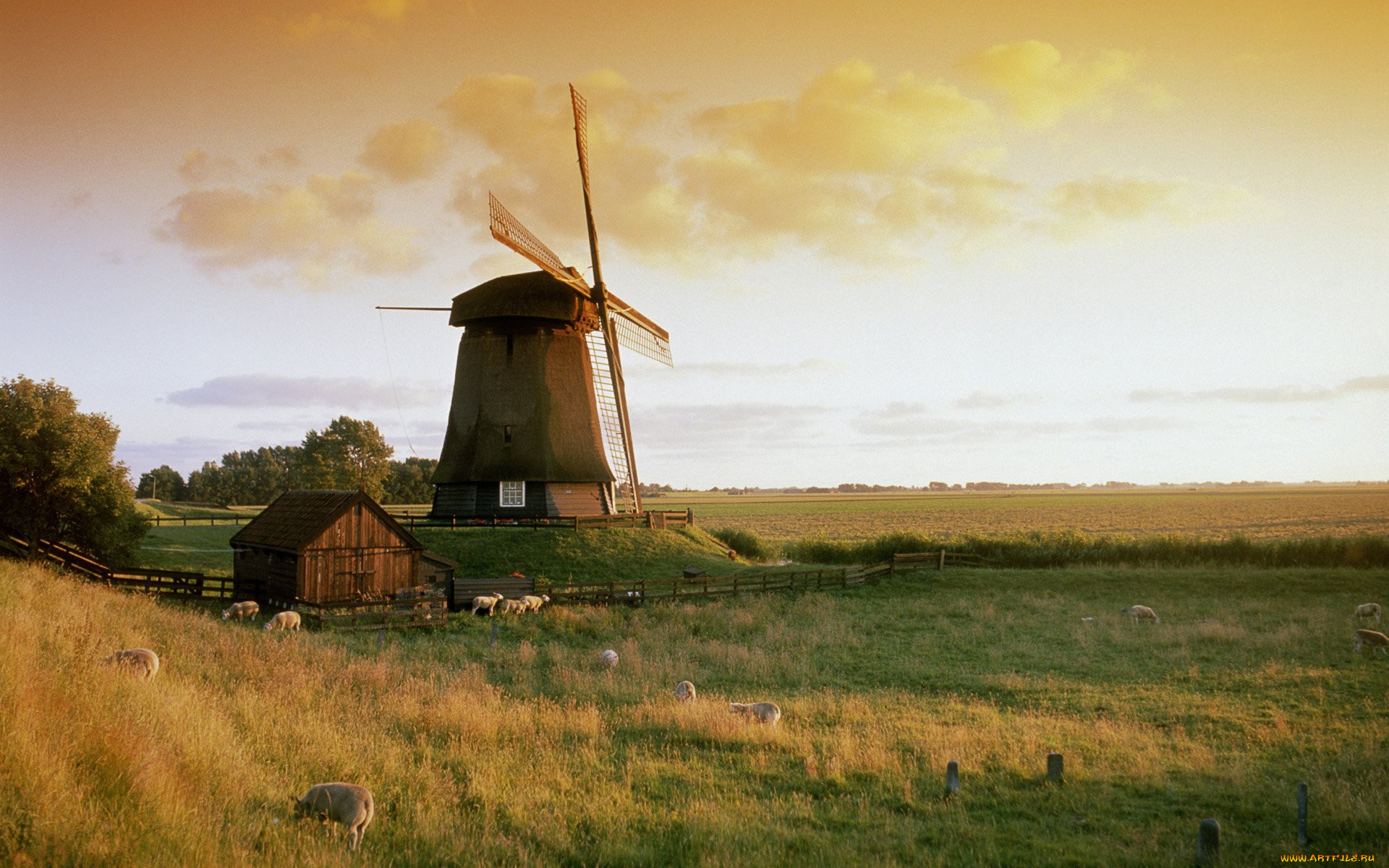 netherlands, molen, bij, alkmaar, , 